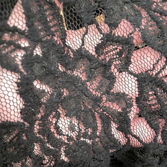 Express 3/4 Sleeve Sheer Top (Lace Detail) - Picture 5 of 6